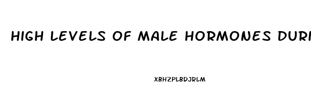 High Levels Of Male Hormones During Prenatal Development May Enhance