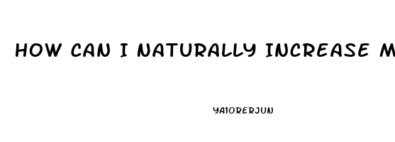 How Can I Naturally Increase My Penis Size