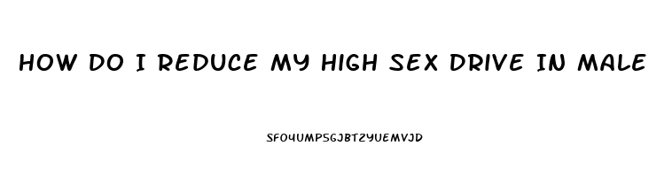 How Do I Reduce My High Sex Drive In Male