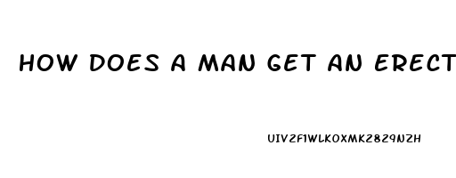 How Does A Man Get An Erection