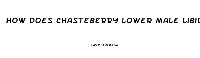 How Does Chasteberry Lower Male Libido