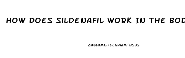 How Does Sildenafil Work In The Body