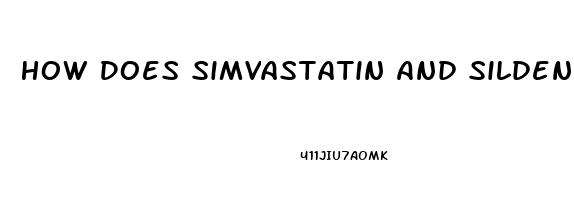 How Does Simvastatin And Sildenafil React Together