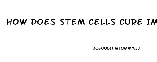 How Does Stem Cells Cure Impotence