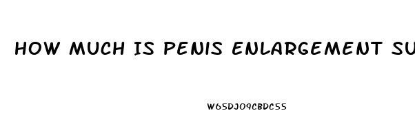 How Much Is Penis Enlargement Surgury