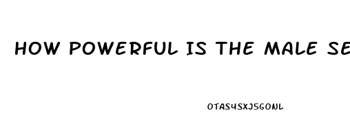 How Powerful Is The Male Sex Drive