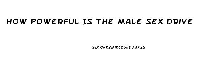 How Powerful Is The Male Sex Drive