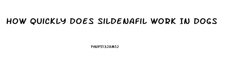 How Quickly Does Sildenafil Work In Dogs