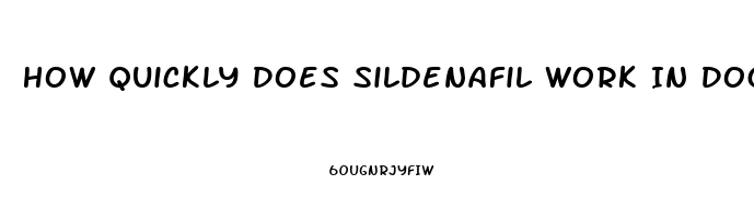 How Quickly Does Sildenafil Work In Dogs
