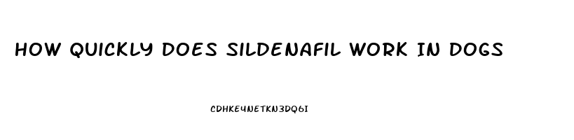 How Quickly Does Sildenafil Work In Dogs