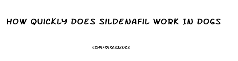 How Quickly Does Sildenafil Work In Dogs