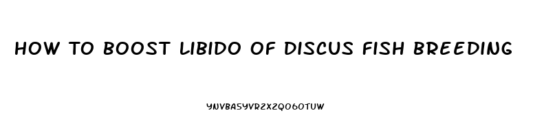 How To Boost Libido Of Discus Fish Breeding