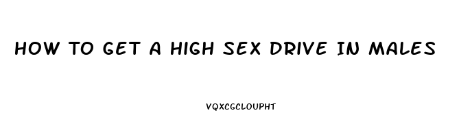 How To Get A High Sex Drive In Males