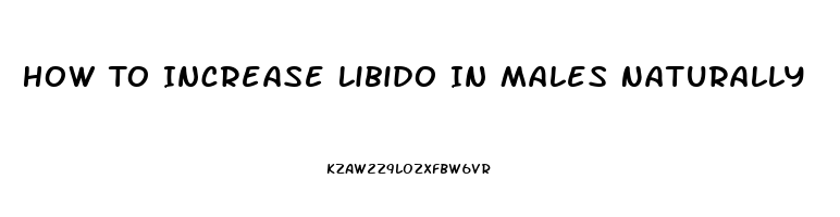 How To Increase Libido In Males Naturally