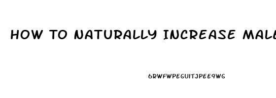 How To Naturally Increase Male Libido