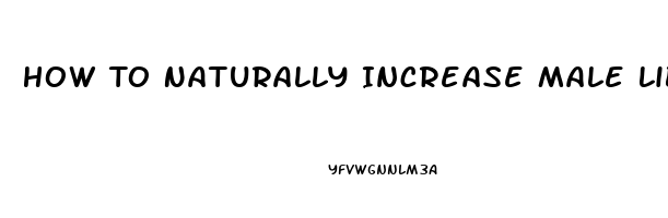 How To Naturally Increase Male Libido