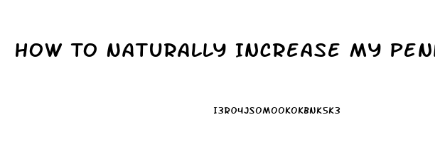 How To Naturally Increase My Penis Size