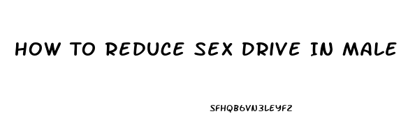 How To Reduce Sex Drive In Male