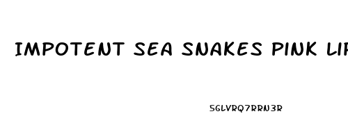 Impotent Sea Snakes Pink Lipstick