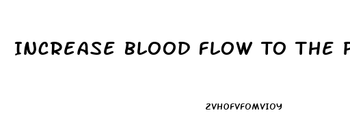 Increase Blood Flow To The Penis