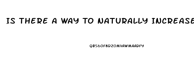 Is There A Way To Naturally Increase Penis Size