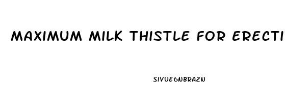 Maximum Milk Thistle For Erectile Dysfunction