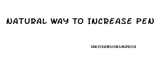 Natural Way To Increase Penis