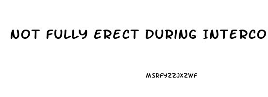 Not Fully Erect During Intercourse