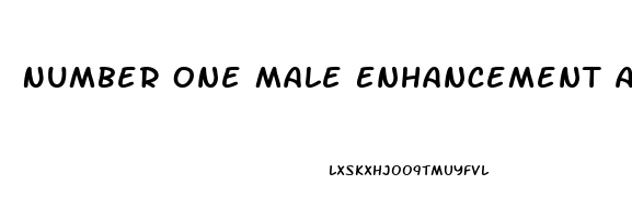 Number One Male Enhancement At Gnc