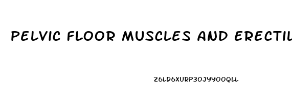 Pelvic Floor Muscles And Erectile Dysfunction