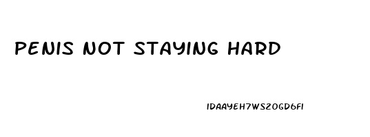 Penis Not Staying Hard