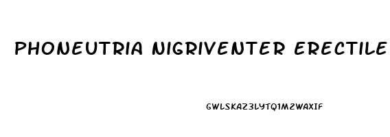 Phoneutria Nigriventer Erectile Dysfunction