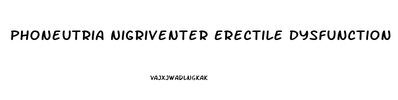 Phoneutria Nigriventer Erectile Dysfunction