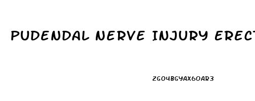 Pudendal Nerve Injury Erectile Dysfunction