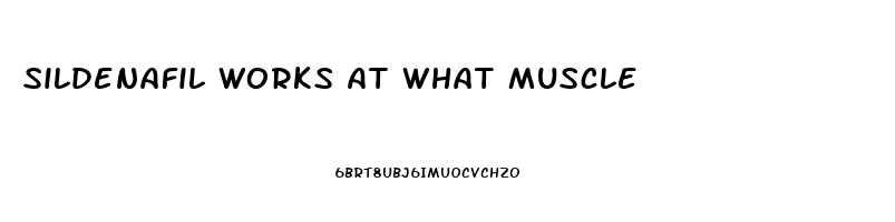 Sildenafil Works At What Muscle