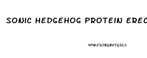 Sonic Hedgehog Protein Erectile Dysfunction