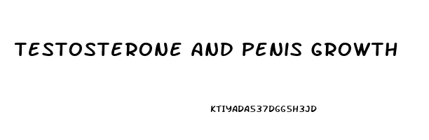 Testosterone And Penis Growth
