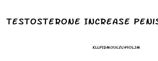 Testosterone Increase Penis Size