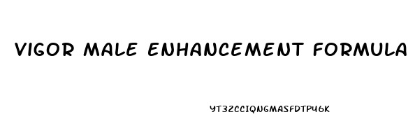 Vigor Male Enhancement Formula