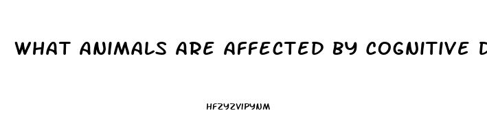 What Animals Are Affected By Cognitive Dysfunction