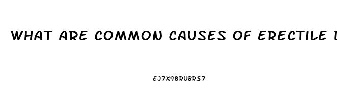 What Are Common Causes Of Erectile Dysfunction