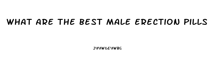 What Are The Best Male Erection Pills