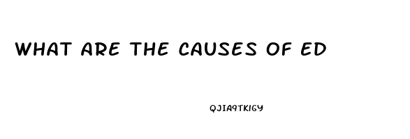 What Are The Causes Of Ed