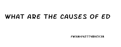 What Are The Causes Of Ed