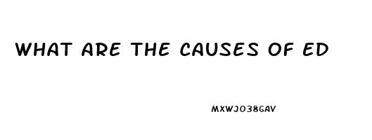 What Are The Causes Of Ed