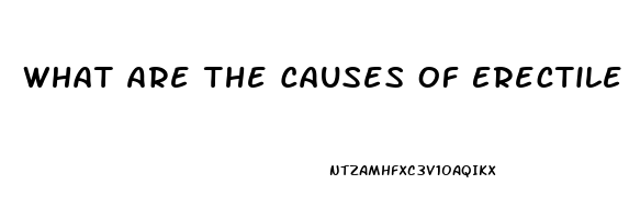 What Are The Causes Of Erectile Dysfunction