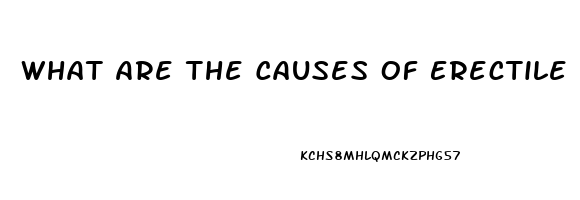 What Are The Causes Of Erectile Dysfunction