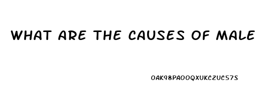 What Are The Causes Of Male Impotence