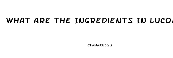 What Are The Ingredients In Lucom Male Enhancement Pill