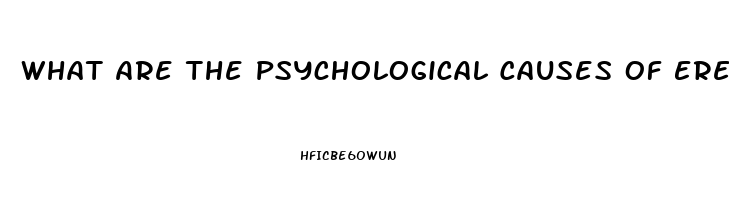 What Are The Psychological Causes Of Erectile Dysfunction